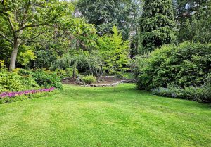 Optimiser l'expérience du jardin à Vaux-sur-Seulles